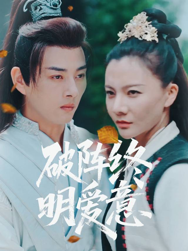 破阵终明爱意封面