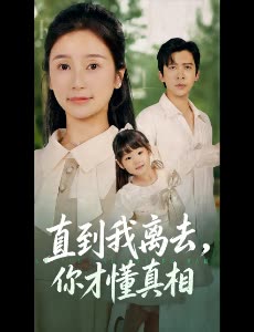 直到我离去,你才懂真相封面