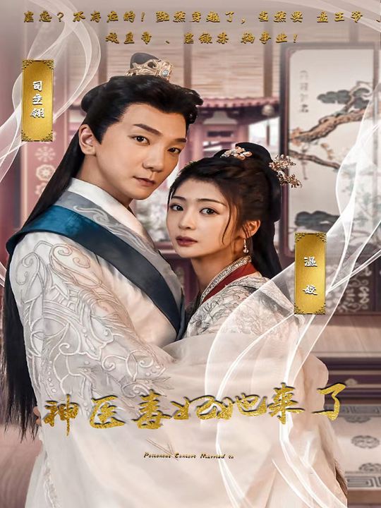 神医毒妃她来了封面