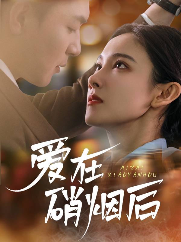 爱在硝烟后封面