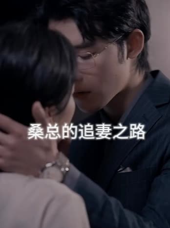 桑总的追妻之路封面