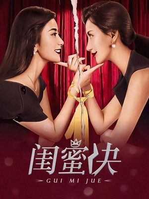 电视剧闺蜜决（上）封面
