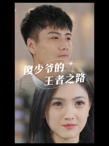 傻少爷的王者之路封面