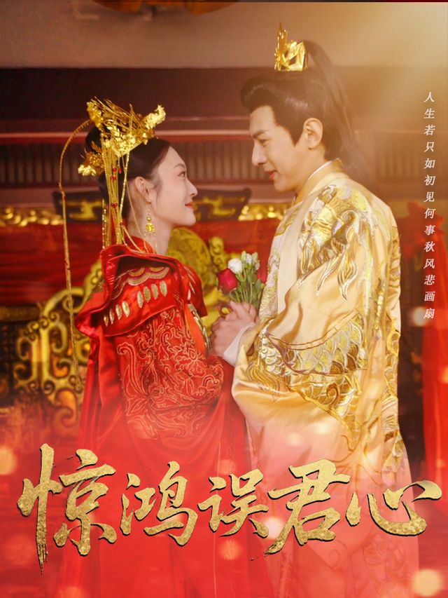 惊鸿误君心封面