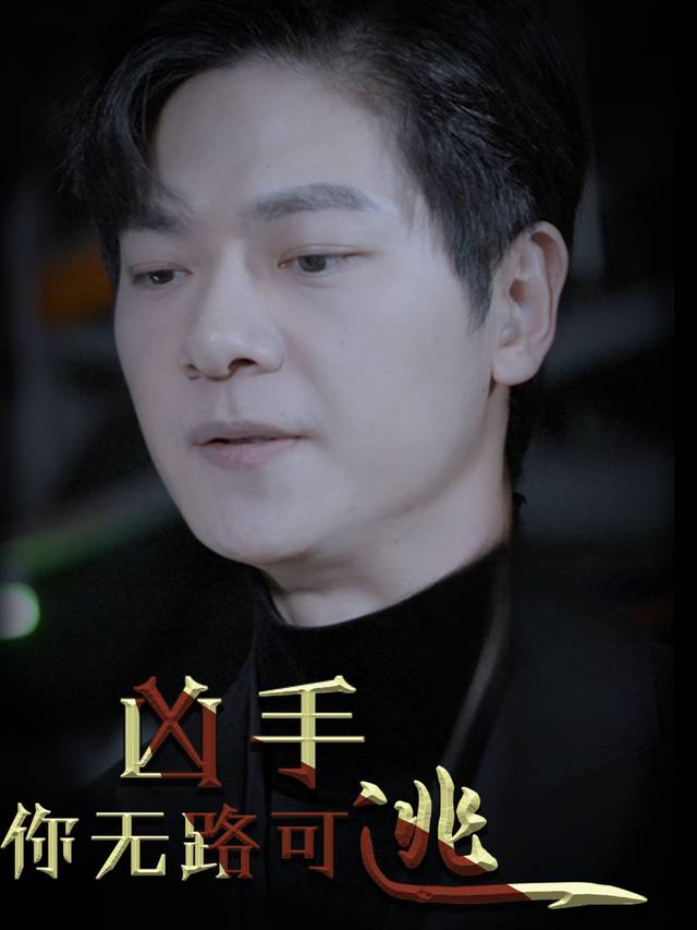 凶手你无路可逃封面
