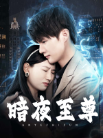 暗夜至尊封面