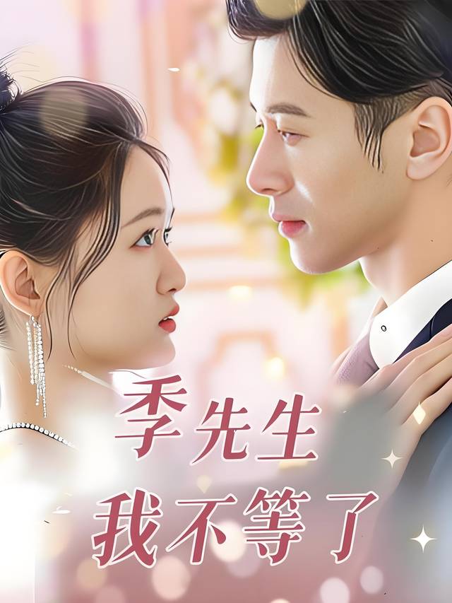 季先生,我不等了封面