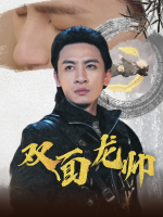 双面龙帅封面