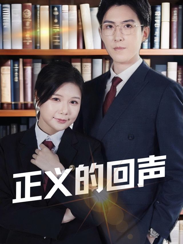 正义的回声封面