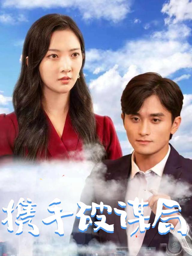 携手破谋局封面