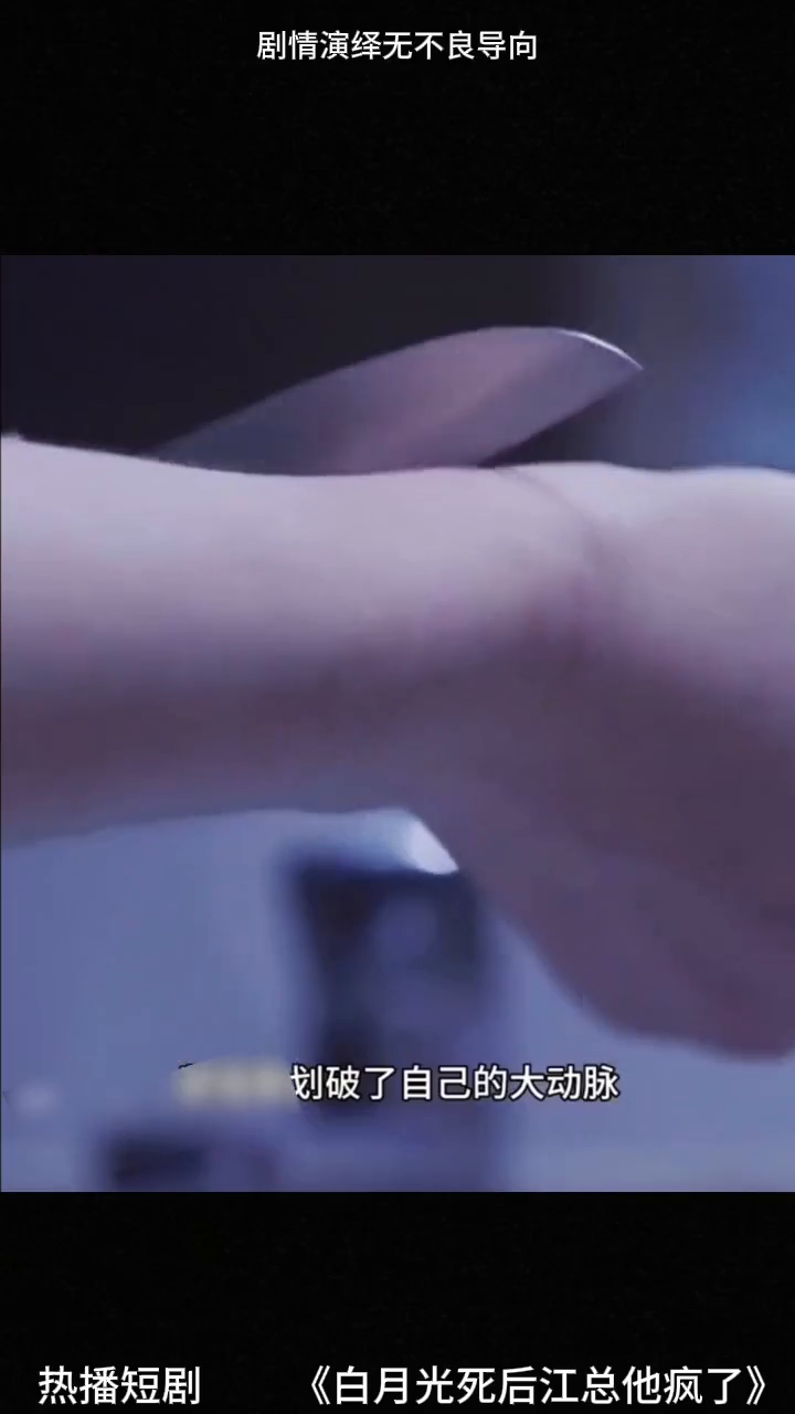 白月光死后江总他疯了封面