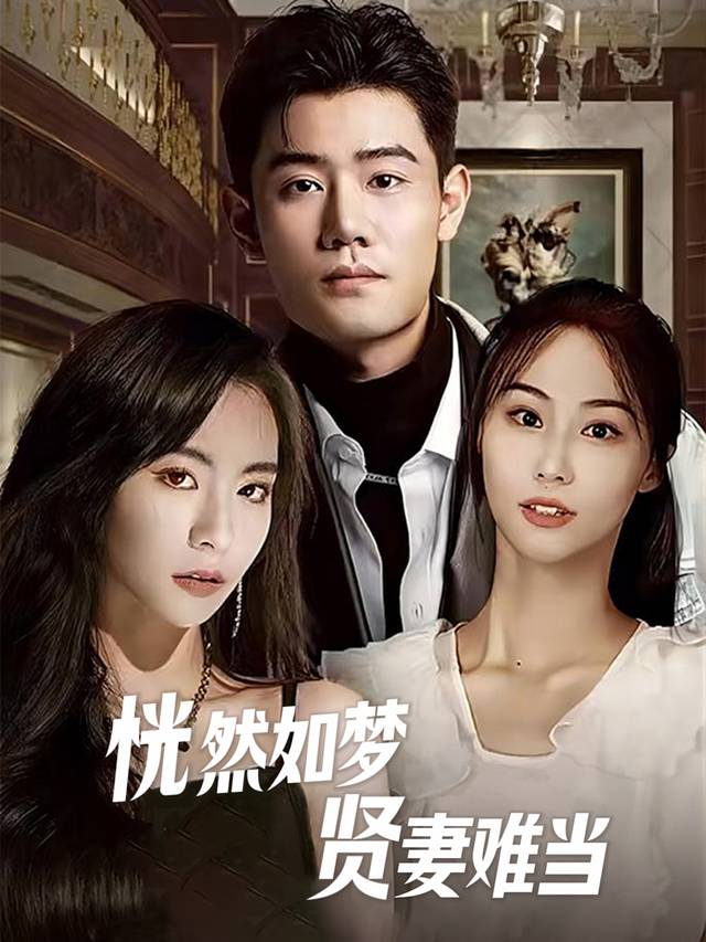 恍然如梦,贤妻难当封面