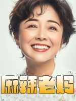 麻辣老妈封面