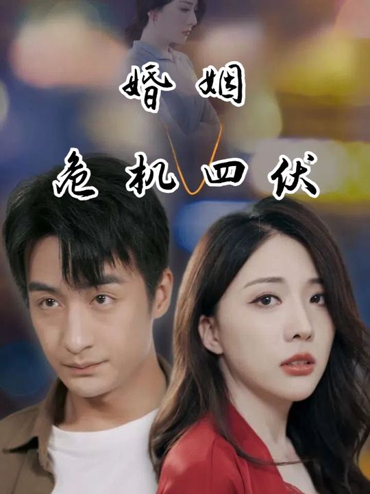 婚姻危机四伏封面