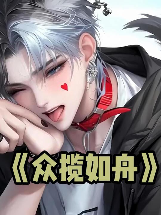 众揽如舟封面