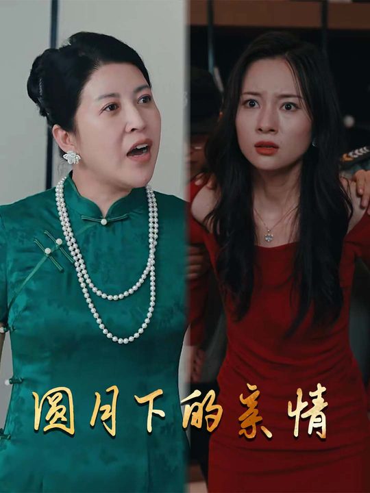 圆月下的亲情封面