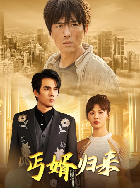丐婿归来封面