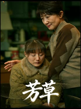 芳草封面