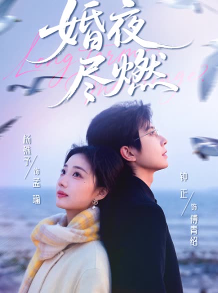 婚夜尽燃封面