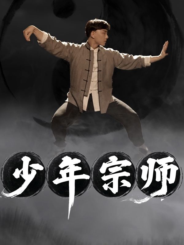 少年宗师封面