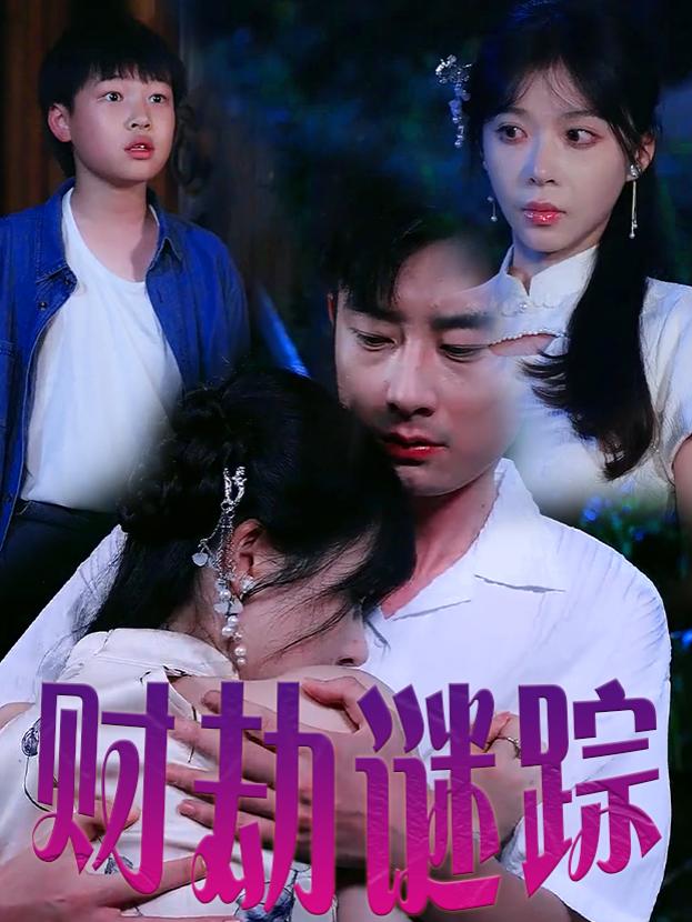 财劫谜踪封面
