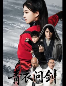 青衣问剑封面