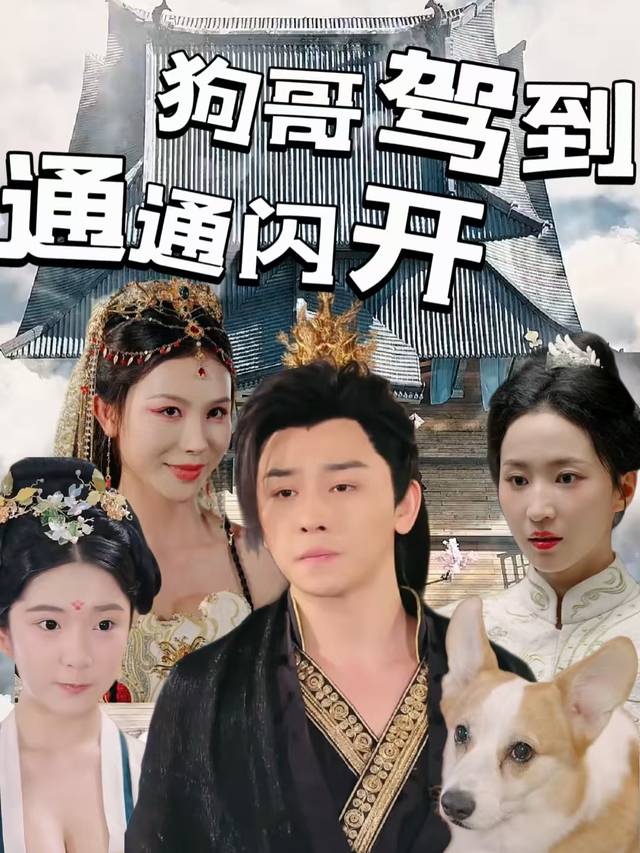 狗哥驾到通通闪开封面