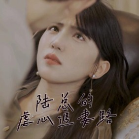 陆总的虐心追妻路封面