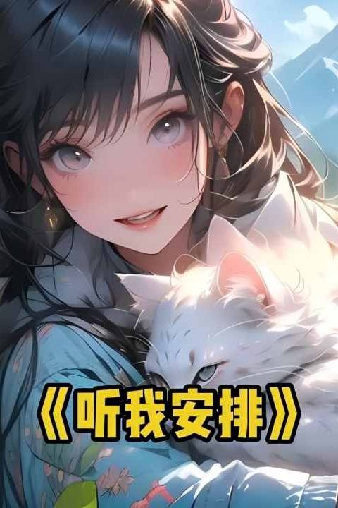 听我安排封面