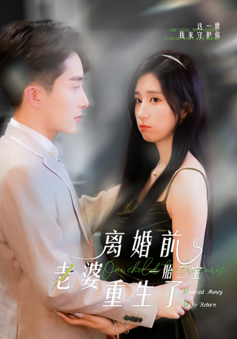 一胎一宝：离婚前老婆重生了封面