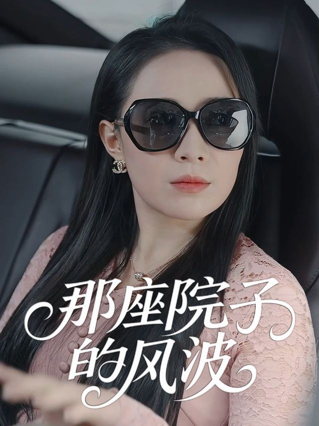 那座院子的风波封面