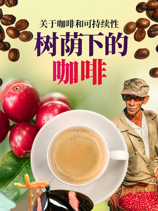 合集 · 树荫下的咖啡封面