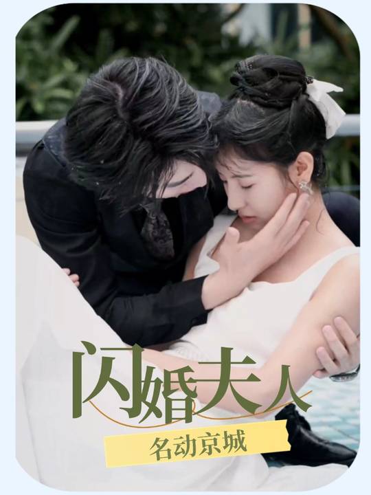 闪婚夫人名动京城封面