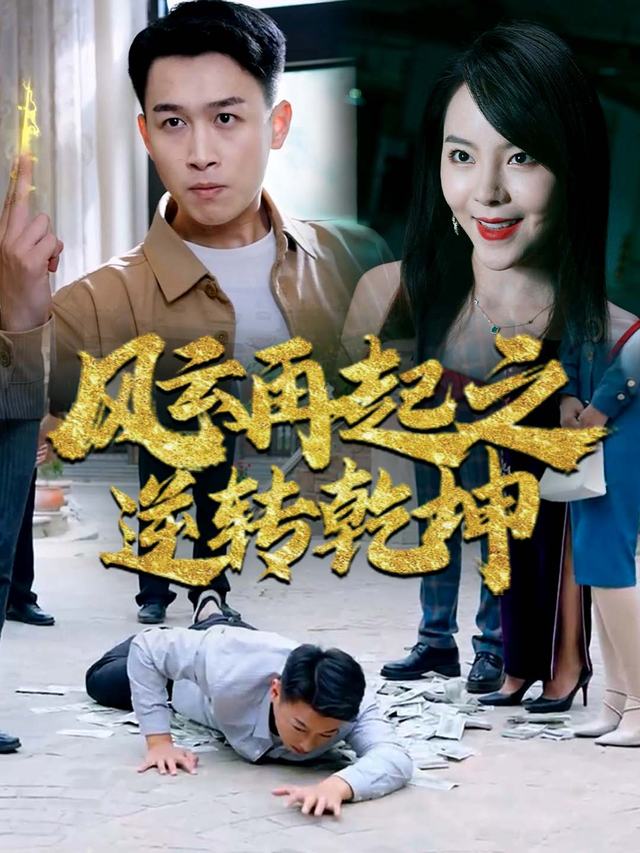 风云再起之逆转乾坤封面