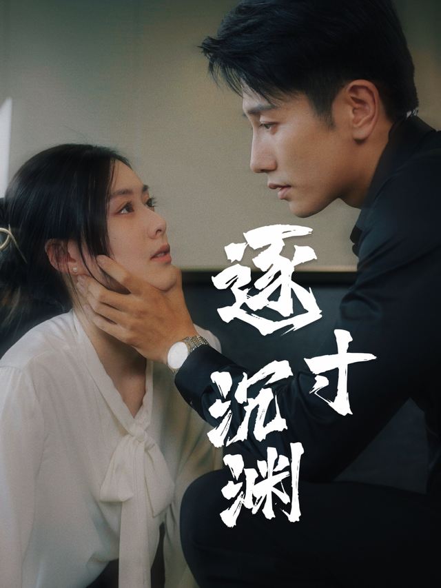 逐寸沉渊封面