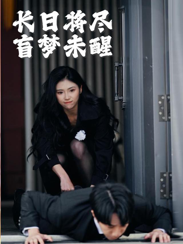 长日将尽,盲梦未醒封面