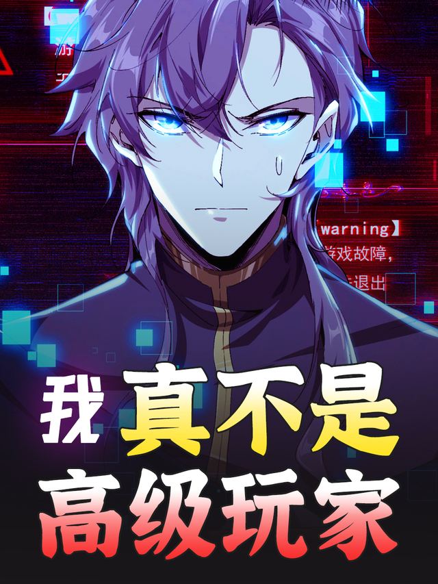 我真不是高级玩家封面