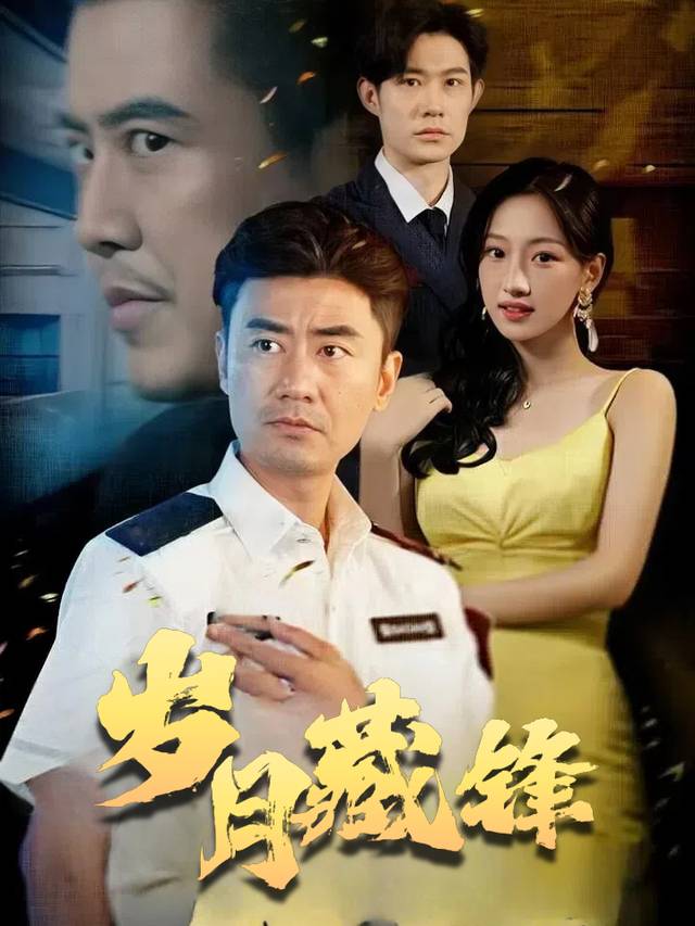 岁月藏锋封面