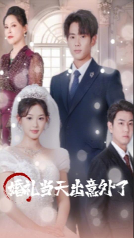 婚礼当天出意外了封面