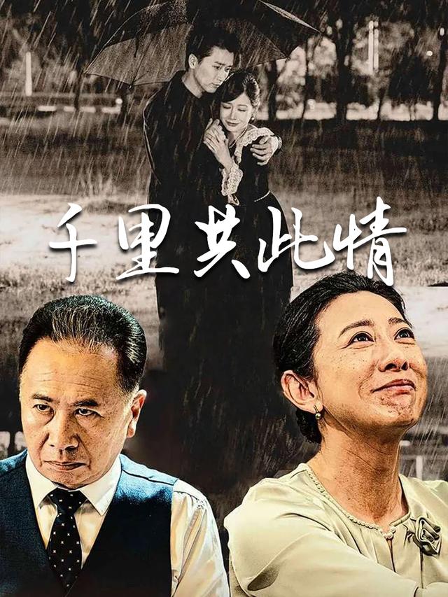 千里共此情封面