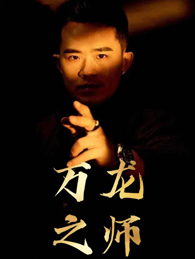 万龙之师封面