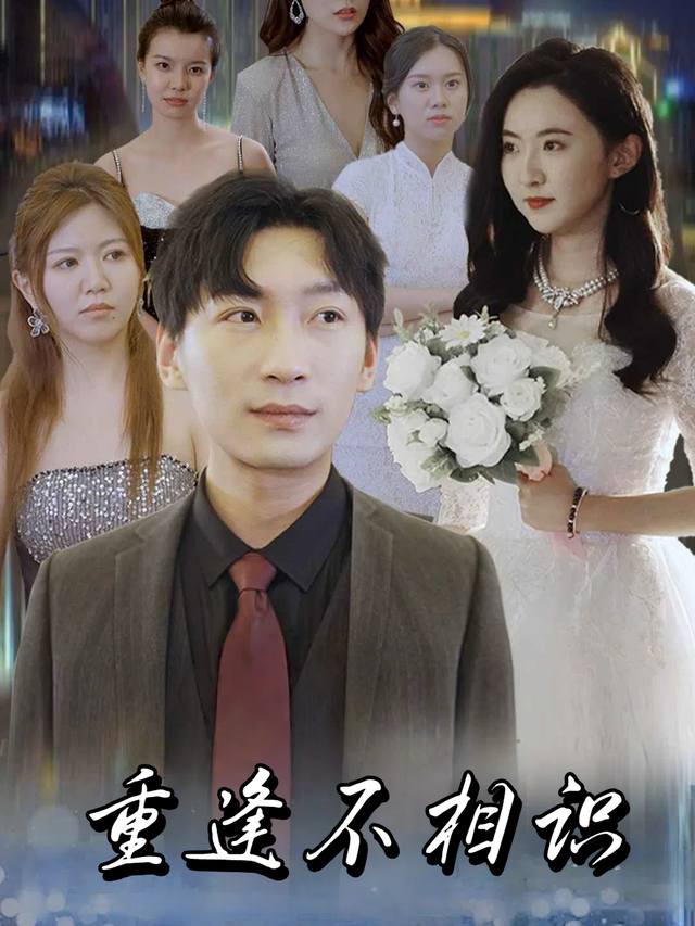 重逢不相识封面