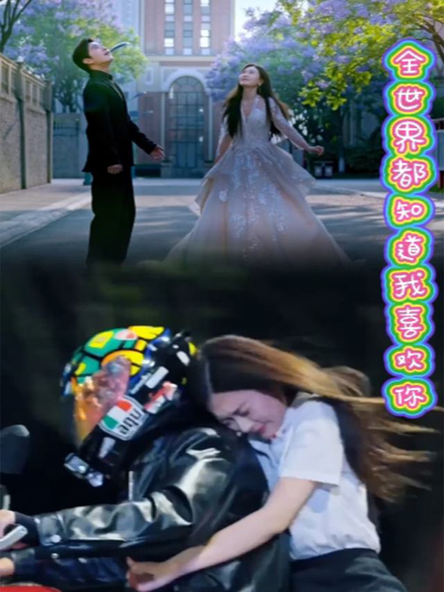 全世界都知道我喜欢你封面