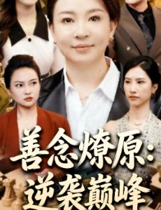 善念燎原:逆袭巅峰封面