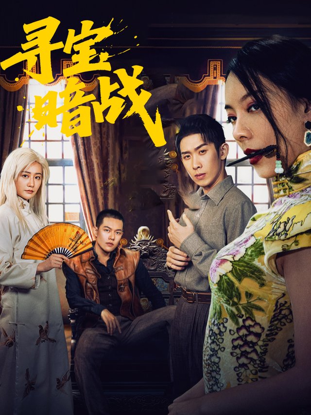 寻宝暗战封面