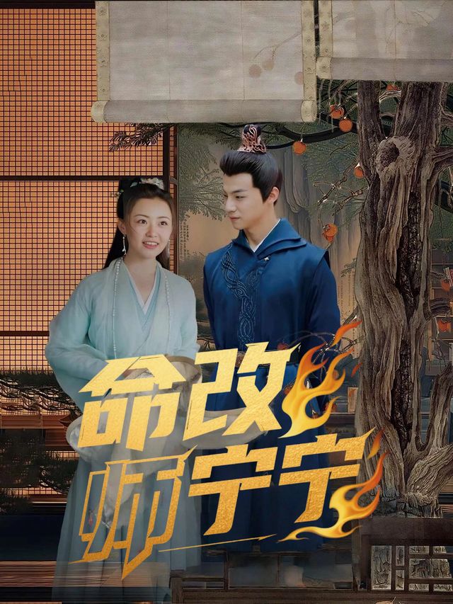 命改师宁宁封面