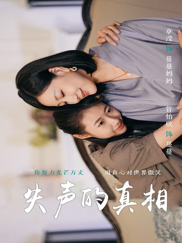 失声的真相封面