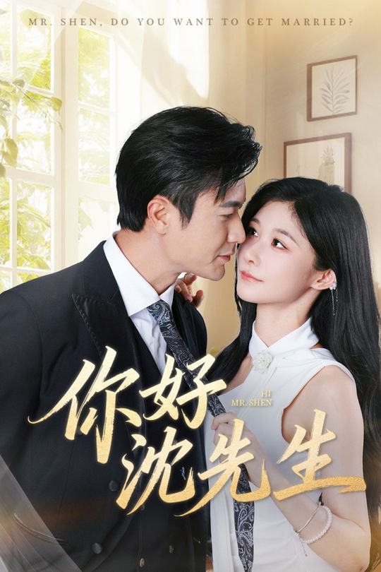 你好,沈先生封面