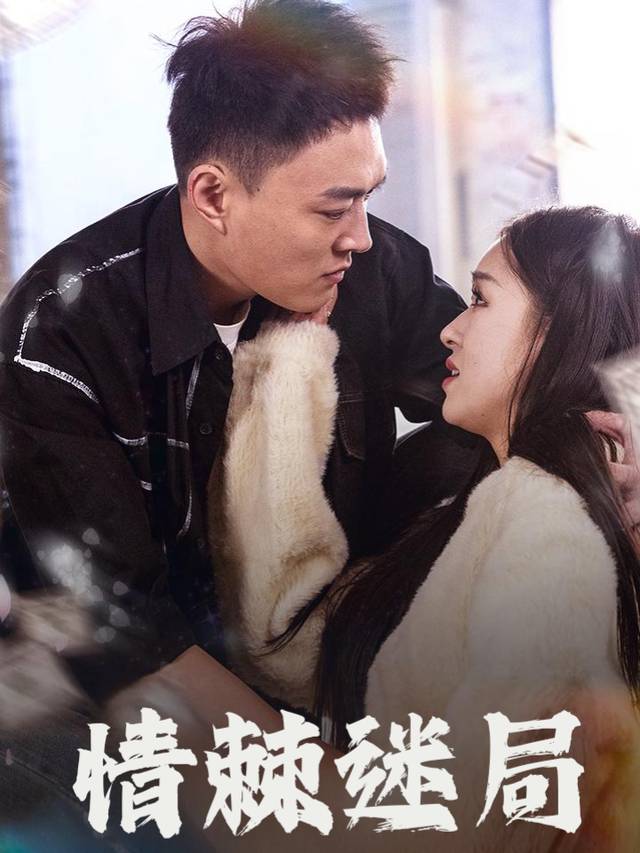 情棘迷局封面