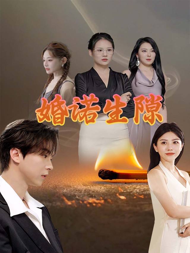 婚诺生隙封面